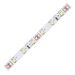 556840 - Ecola Лента св/д 12V 11W/m 60Led/m IP20 4200K 5м 1200Lm/m (интер) PRO SMD3528 P2LV11ESB (1)