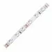 556841 - Ecola Лента св/д 12V 11W/m 60Led/m IP20 6000K 5м 1200Lm/m (интер) PRO SMD3528 P2LD11ESB (1)