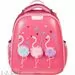 701595 - Ранец №1 School   Basic  Flamingo, 2 отд., ортоп.спинка, экокожа, светящ. кант 975130 (2)
