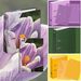 701964 - Папка регистратор Attache Selection Crocus green clover,лам.карт,75мм 845491 (4)