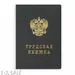 752525 - Бух брошюры Трудовая книжка (10 штук в упаковке) 869262 (2)
