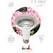 710003 - ЭРА FITO св/д лампа для растений E27 15W фито 22.5мкмоль/с полный спектр 140х95 FITO 7042 (3)