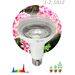 710003 - ЭРА FITO св/д лампа для растений E27 15W фито 22.5мкмоль/с полный спектр 140х95 FITO 7042 (1)