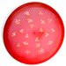 641205 - Ecola GX53 св/д 8W Красный матов. 28x74 T5TR80ELC (10!) (2)