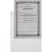 604949 - Папка файл-вкладыш А4+ Attache Selection 90 мкм, уп.10 шт/уп. (6)