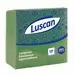 701165 - Салфетки бумажные 100шт. зеленые (24х24см) Luscan 476874 (1)