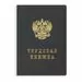 752525 - Бух брошюры Трудовая книжка (10 штук в упаковке) 869262 (1)