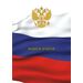 752541 - Бух книги учета 80л. в клетку обл.картон ГОС. СИМВ. 698395 (1)