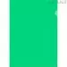 604906 - Папка уголок , 150 мкм, зеленый 10 шт/уп Россия (1)
