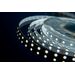 772630 - SWG/Design LED Лента св/д 24V DSG 5050 W 60L-V24-IP33 6000K 6K 300LED 14.4W/m LUX (5м цена за метр) (6)