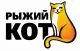 Рыжий кот logo